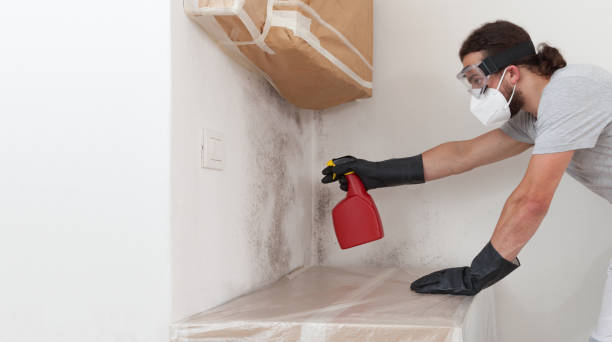 Professional Attic Mold Remediation technician working in Trenton, FL