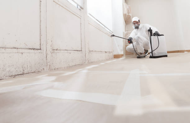 24/7 Emergency Attic Mold Remediation experts in Trenton, FL